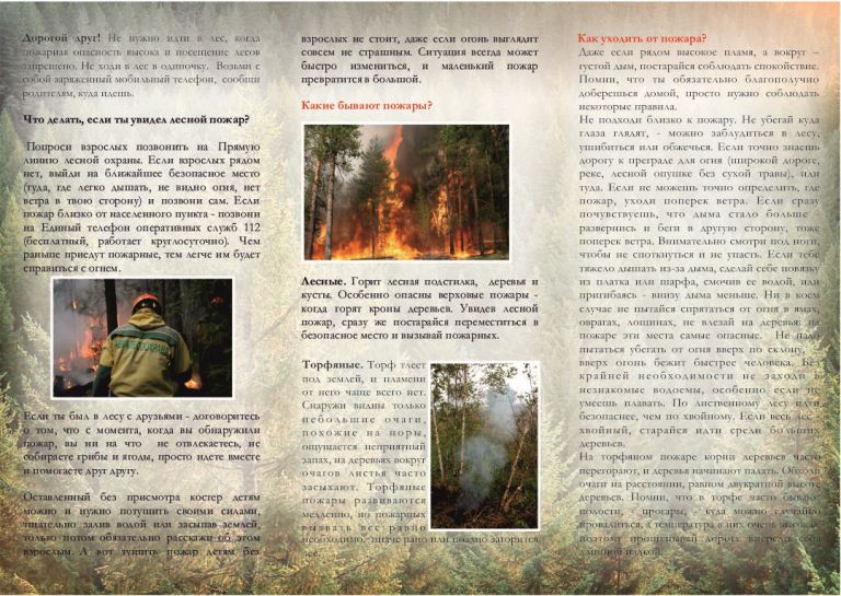 Памятка Пожары  в лесу